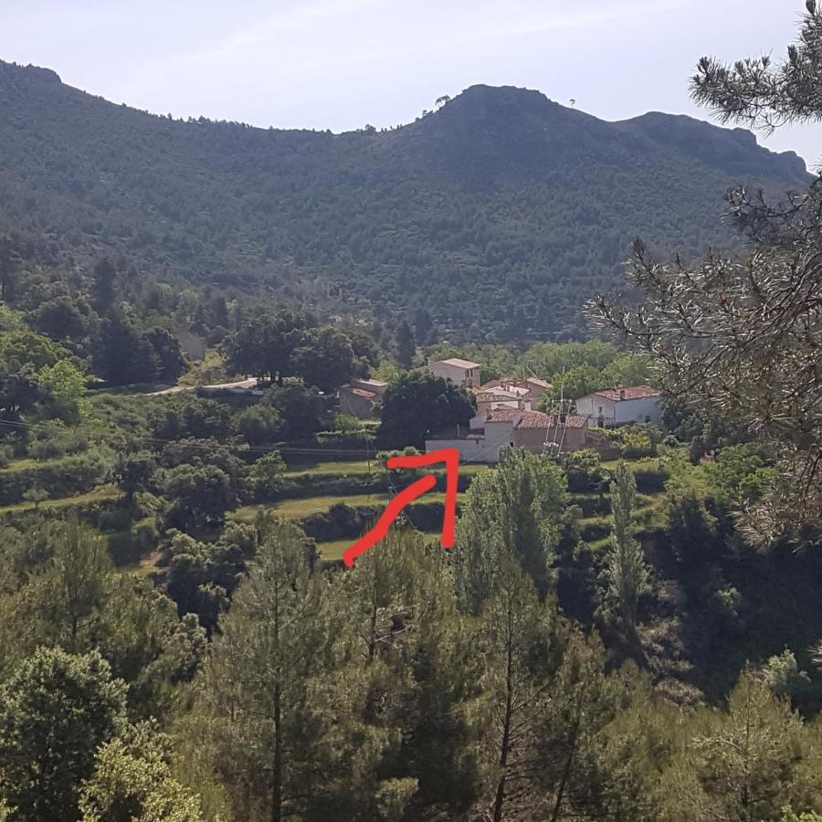 Las Encinas Yeste Exterior foto